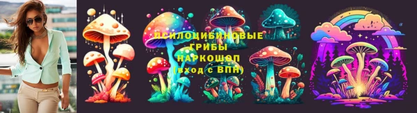 индика Алексин