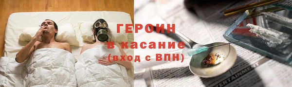 индика Алексин