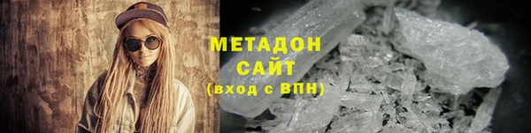 индика Алексин