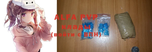 индика Алексин