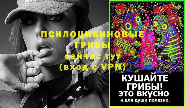 первитин Алексеевка
