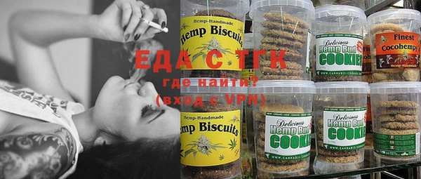 индика Алексин