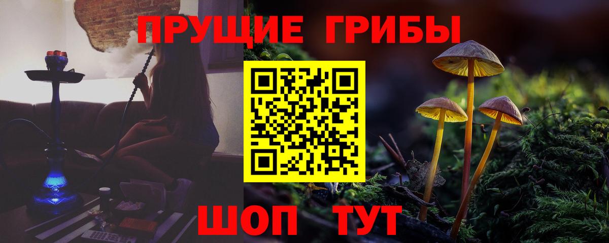 Курганинск  Псилоцибиновые грибы MAGIC MUSHROOMS  Вход с VPN 