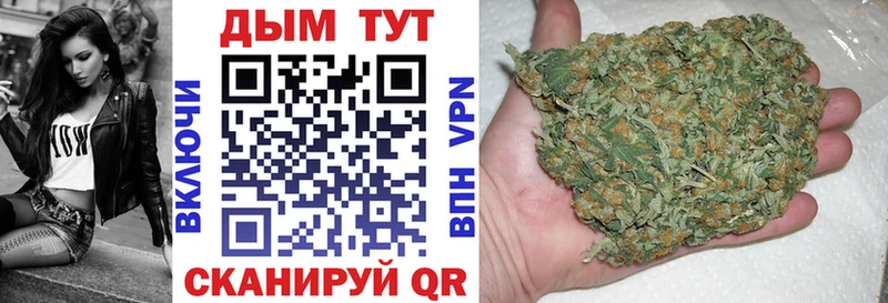 купить наркотики сайты  даркнет наркотические препараты  Канабис THC 21%  Курганинск  hydra как войти 